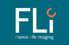 FLI