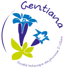 G09-logo-HD-RVB Gentiana détouré