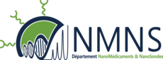 Logo du département Nanomédicaments et Nanosondes
