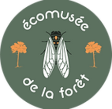 écomusée de la forêt