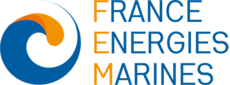 logo FEM