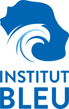 Vague dans le profil de La Réunion, inscription "Institut Bleu"