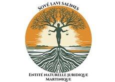 logo SLVS