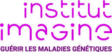 Logo Institut Imagine