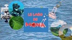 Logo Mona'Venture
