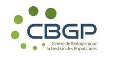 CBGP
