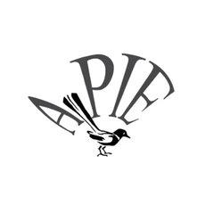 logo APIE