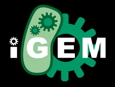 logo igem