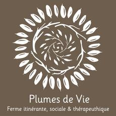 Plumes de vie