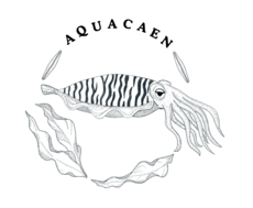 Logo de l'association