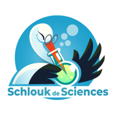 Schlouk de sciences