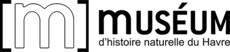 logo du muséum d'histoire naturelle du Havre