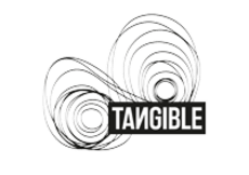 Logo de la compagnie Tangible