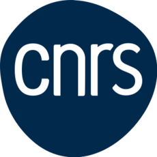 Logo CNRS 2023 -