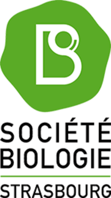 SBS