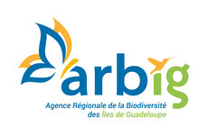 ARBIG