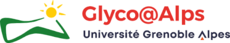 Logo GlycoAlps
