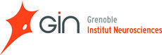 Logo du GIN