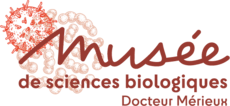 Logo - Musée de sciences biologiques Docteur Mérieux