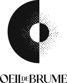 logo de Oeil de brume. Un cercle divisé en deux parties noire et blanche. Lui-même dans un plus grand cercle divisé aux deux parties blanche et noire..