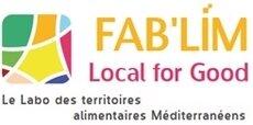 Logo FAB'LIM avec un élément décoratif coloré à gauche 
