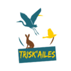 Logo Trisk'ailes