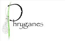 Les Phryganes